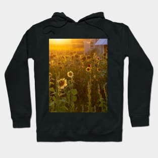 Glowing sunflower farm Hoodie